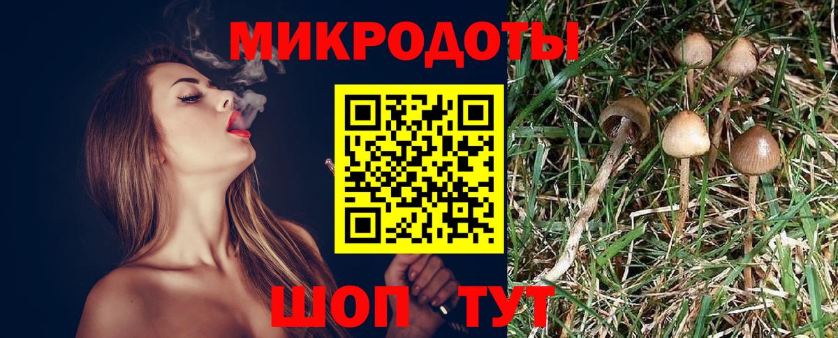 Отрадное  Псилоцибиновые грибы GOLDEN TEACHER  Вход с VPN 